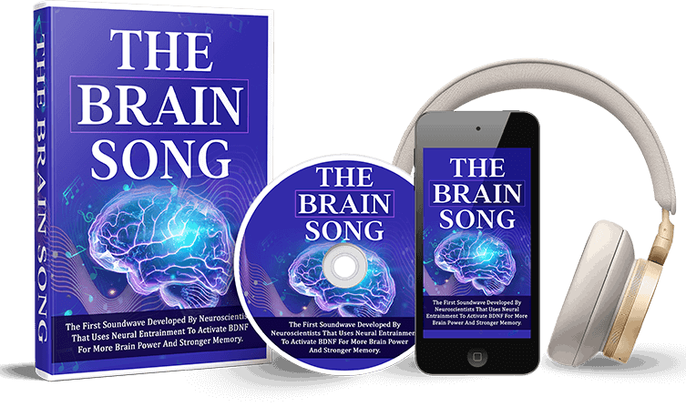 What Is The Brain Song?